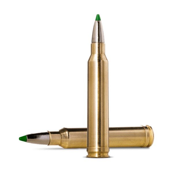Norma CTG 300 WIN MAG ECO 10,7g/165gr